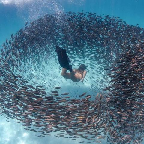 水底探险游戏盘点：热门下载排行，揭秘十大水下奇遇之旅