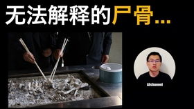 阿黛拉角色深度剖析：揭秘无期迷途强度奥秘与提升技巧