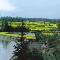 一亿小目标开局攻略揭秘:新手必看完美启动技巧解析 一亿小目标开局攻略揭秘:新手必看完美启动技巧解析