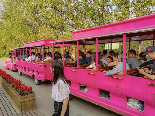 《浮路病院》第三章深度攻略：揭秘隐藏技巧，轻松通关攻略大揭秘