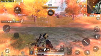 和平精英跑毒攻略：揭秘高效生存技巧，轻松吃鸡！