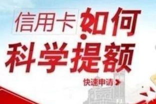 《找老婆私房钱》第10关轻松通关秘籍：独家技巧攻略大揭秘