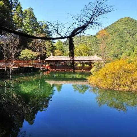 《最终幻想》地图攻略：静谧溪流探险全任务解析秘籍