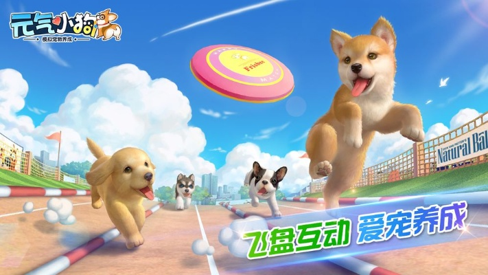 快速提升等级攻略！元气小狗升级技巧大揭秘，助你轻松登顶巅峰