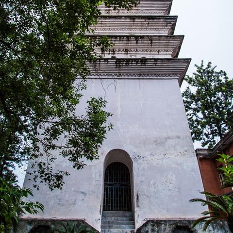 烟雨江湖药材寻踪：揭秘神秘出处地点攻略