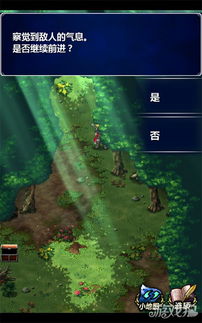 《最终幻想》马尔洛村秘境探险攻略地图全解析，深度揭秘！