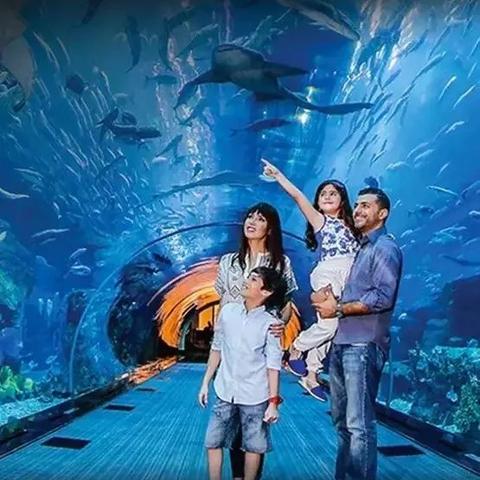 解锁动物餐厅神秘商人：揭秘独特访客条件攻略