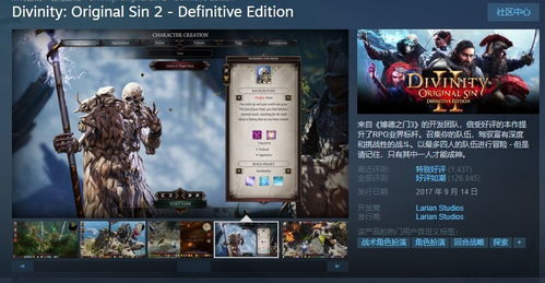 策略角色扮演游戏盘点：精选佳作，畅玩必备攻略推荐