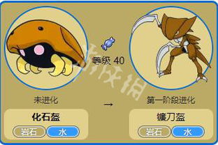 宝可梦探险秘籍：化石盔食谱解锁，技能提升攻略大揭秘