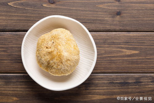 动物餐厅存档卡点技巧揭秘！高效攻略助你轻松通关