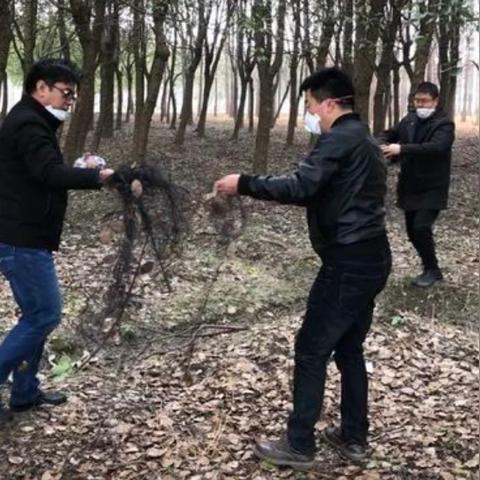 动物餐厅留客秘诀：独家攻略助你生意兴隆