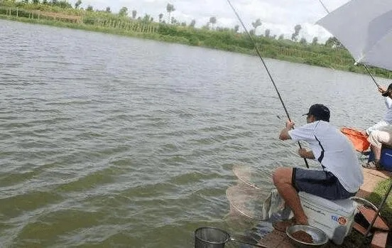 钓鱼看漂技巧揭秘：黑坑稳赚必胜攻略，掌握这招！