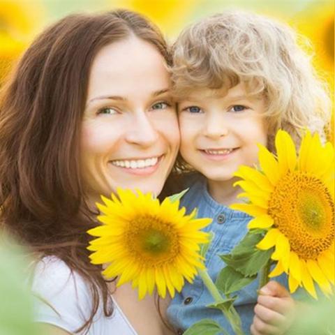 《消零世界》攻略：破解“不负责任父母任务”奇招揭秘！