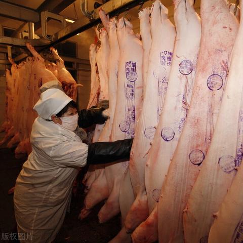 动物餐厅涨价许可解锁秘籍:高效攻略助你轻松升级 动物餐厅涨价许可解锁秘籍:高效攻略助你轻松升级