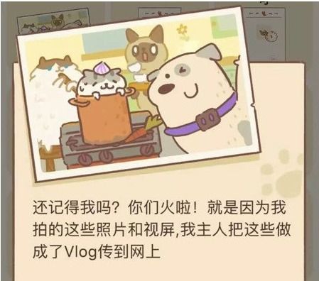 动物餐厅海德薇攻略：信件放置技巧深度解析秘籍