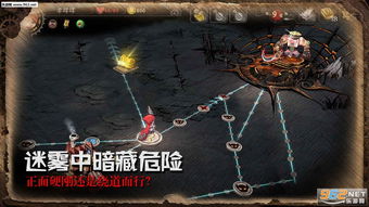 迷失之夜卡组搭配攻略：灰姑娘卡牌精选秘籍