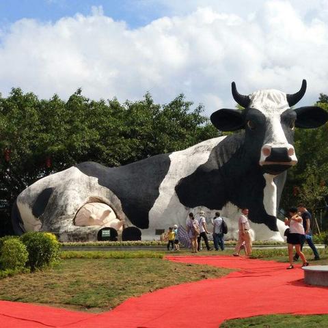 奶牛镇奇异空间资源盘点：独家揭秘资源分布攻略