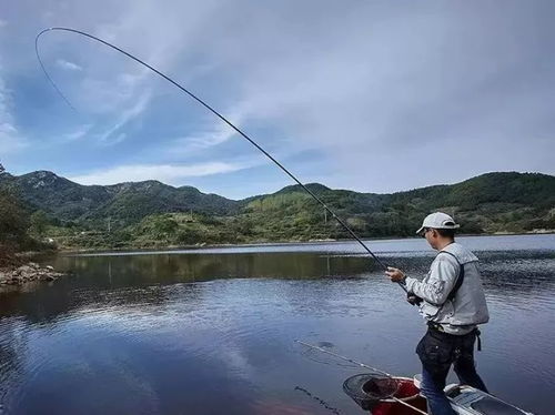 伊洛纳垂钓技能搭配攻略：高效钓鱼技巧揭秘