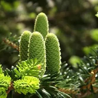 十大耐玩射击游戏盘点：垂直卷轴射击，畅玩不停选哪家？