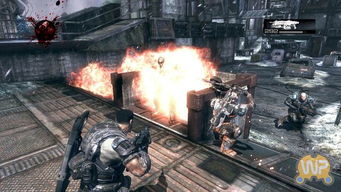 十大热门战斗游戏盘点：揭秘玩家必玩精选攻略