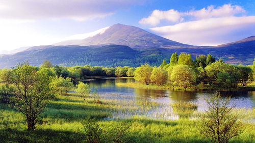 自然风光游戏盘点：揭秘十大必玩自然游戏，畅游生态秘境