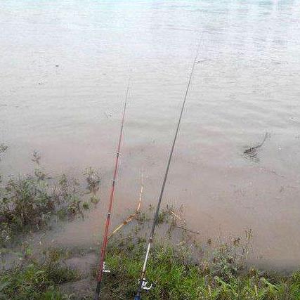 钓鱼游戏人气排行:盘点十大热门必玩钓游精选 钓鱼游戏人气排行:盘点十大热门必玩钓游精选