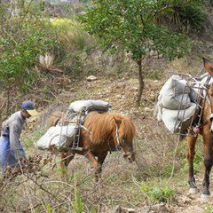 《我和老板的那些事》第20关通关攻略：揭秘高效通关秘籍，轻松解锁新境界