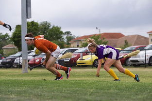 《哈利·波特》魁地奇赛体验:粉丝专属飞行竞技盛宴 《哈利·波特》魁地奇赛体验:粉丝专属飞行竞技盛宴
