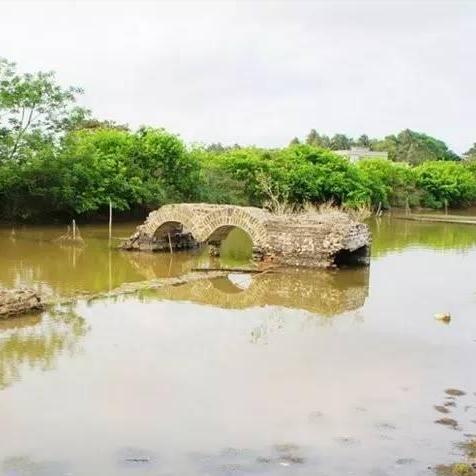 潮汐守望者石板掉落揭秘：独家攻略助你轻松获取！