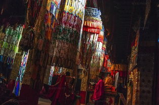 心动小镇探秘：10.20溜溜橡木与无瑕萤石宝藏攻略揭秘