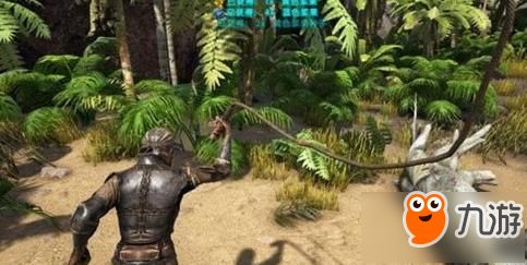 方舟生存进化宠物营养攻略：揭秘高效喂食技巧