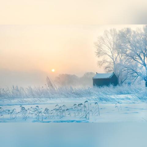 鸣潮逆深塔阵容攻略：2025.10.13期强力推荐，助你轻松登顶！