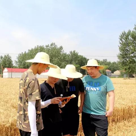 未来人生农场自动化攻略：揭秘高效赚钱秘诀，轻松致富新途径