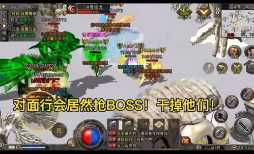 骷髅冰雪传奇新手快速开荒攻略，揭秘高效起步技巧