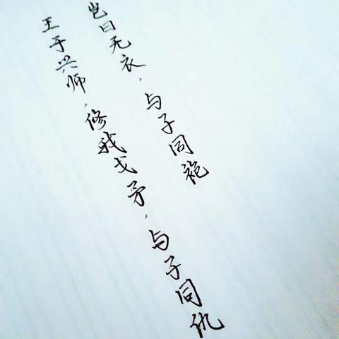 王于兴师项羽虞姬队搭配攻略：解锁全新战术组合秘籍