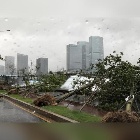 末日来袭攻略汇总:独家秘籍助你轻松通关,掌握生存法则! 末日来袭攻略汇总:独家秘籍助你轻松通关,掌握生存法则!