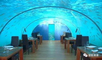 动物餐厅蓝色帘幕解锁攻略及实用价值揭秘