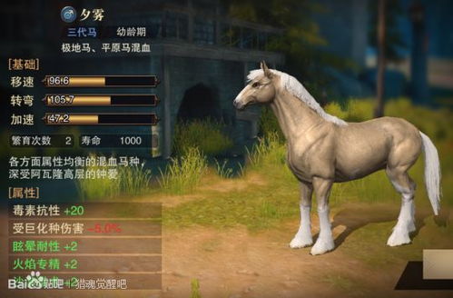 江湖马匹获取攻略:揭秘高效马匹养成技巧 江湖马匹获取攻略:揭秘高效马匹养成技巧