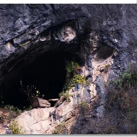 十大热门耐玩探险游戏盘点：揭秘无限探索之旅