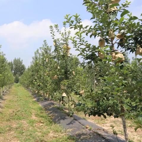 硬核游戏盘点:揭秘热门榜单,探索必玩佳作攻略 硬核游戏盘点:揭秘热门榜单,探索必玩佳作攻略