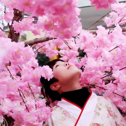 银与绯新版本T0眷属深度剖析+实战攻略，助你轻松登顶巅峰