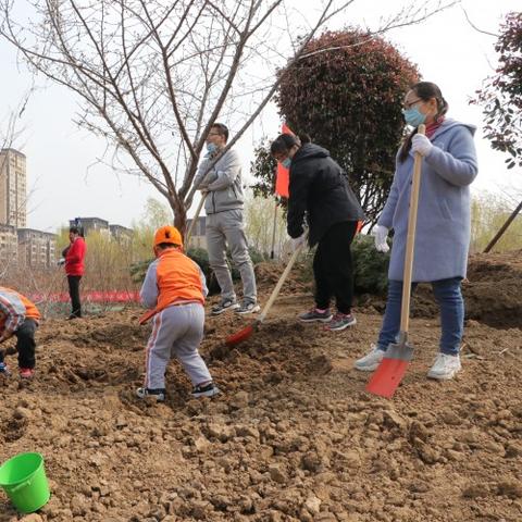 绿芽斗篷轻松入手！揭秘光遇植树节独特获取方法