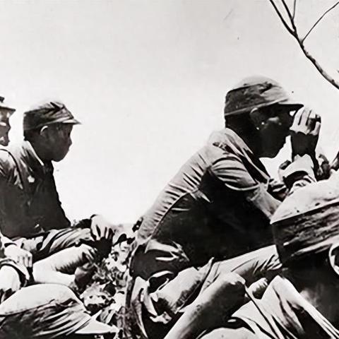 《向僵尸开炮》攻略：高效开荒技巧揭秘，轻松升级！