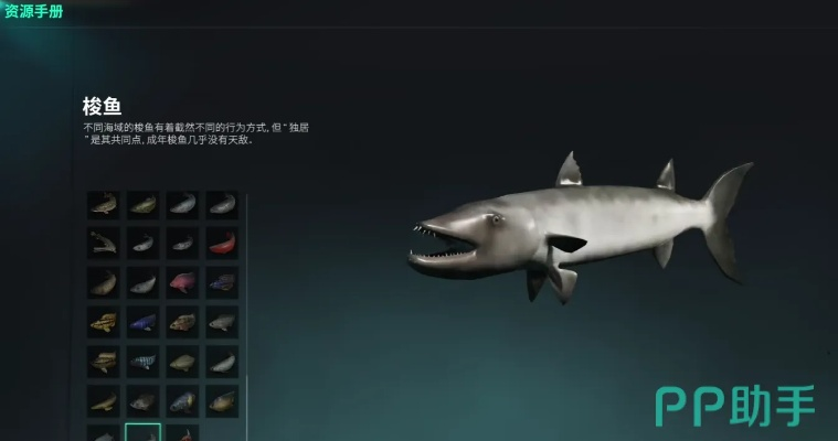 《七日世界》钓鱼达人必备！解锁鱼类全收集秘籍，成就钓鱼天才！