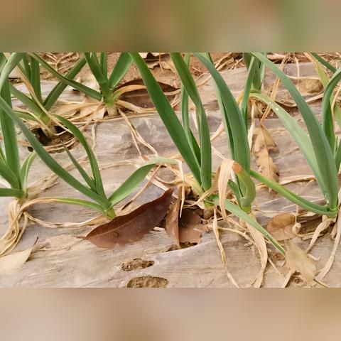 《元素方尖》探险新体验:每场冒险解锁独特收获 《元素方尖》探险新体验:每场冒险解锁独特收获