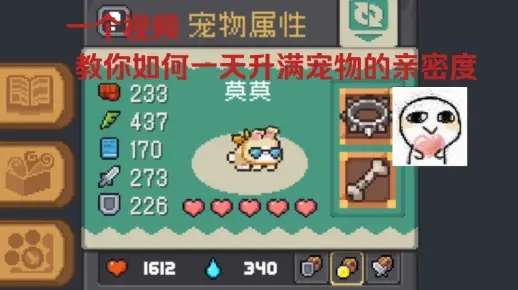 快速提升元气骑士前传宠物亲密度的独家秘籍! 快速提升元气骑士前传宠物亲密度的独家秘籍!