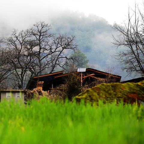 深夜探秘：破解隐秘档案杂货店通关攻略揭秘