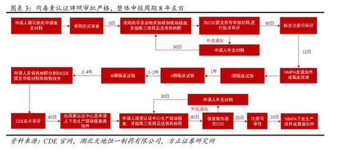 2024年度热门医院游戏盘点：揭秘最受欢迎的医学模拟佳作