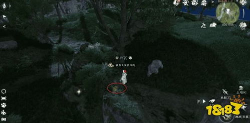 逆水寒手游仙居原动物好感度快速提升攻略秘籍 逆水寒手游仙居原动物好感度快速提升攻略秘籍