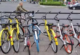 热门单车游戏盘点：揭秘玩家最爱排行榜，解锁最佳游戏体验